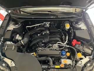 Oil Filters