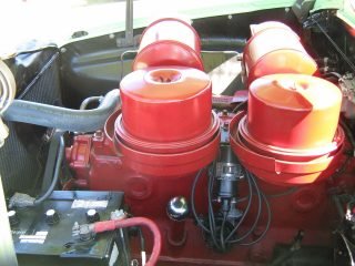Oil Filters